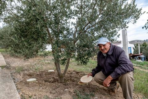 Au domaine Ben Ismail, situé à Toukaber, près Medjez el Bab ets un domaine agricole ou se produit une huile bio et raffinée mais également du fromage de chèvre de la race « dmen », le développement d’un tourisme alternatif basé sur l’agrotourisme est en cours. viviste du domaine avec Mohamed Ben Ismail.