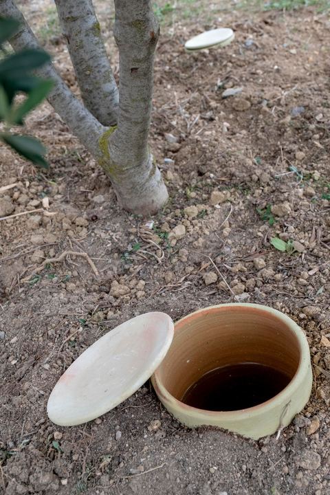 Au domaine Ben Ismail, situé à Toukaber, près Medjez el Bab ets un domaine agricole ou se produit une huile bio et raffinée mais également du fromage de chèvre de la race « dmen », le développement d’un tourisme alternatif basé sur l’agrotourisme est en cours. viviste du domaine avec Mohamed Ben Ismail.