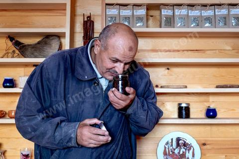 Au domaine Ben Ismail, situé à Toukaber, près Medjez el Bab ets un domaine agricole ou se produit une huile bio et raffinée mais également du fromage de chèvre de la race « dmen », le développement d’un tourisme alternatif basé sur l’agrotourisme est en cours. viviste du domaine avec Mohamed Ben Ismail.