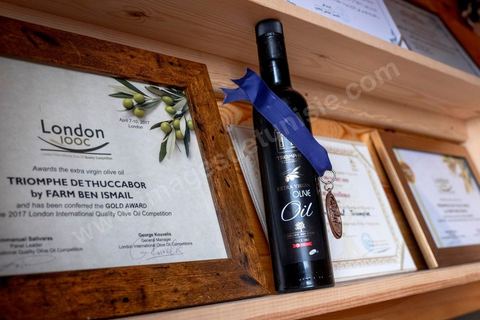 Au domaine Ben Ismail, situé à Toukaber, près Medjez el Bab ets un domaine agricole ou se produit une huile bio et raffinée mais également du fromage de chèvre de la race « dmen », le développement d’un tourisme alternatif basé sur l’agrotourisme est en cours. viviste du domaine avec Mohamed Ben Ismail.