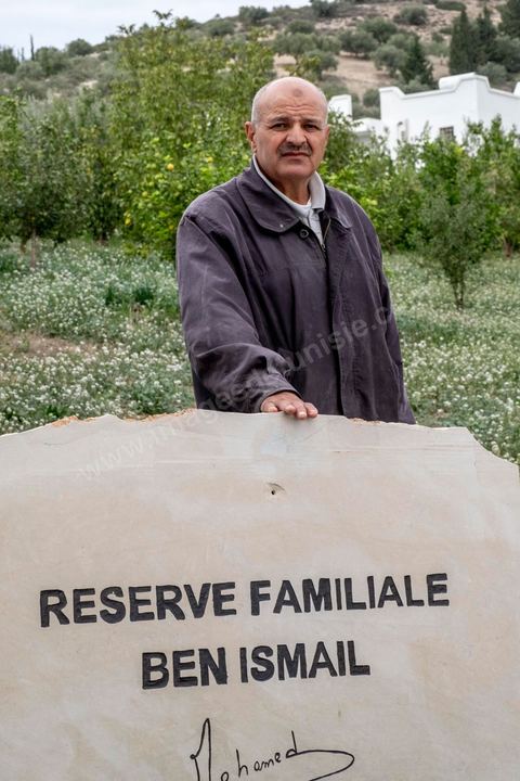 Au domaine Ben Ismail, situé à Toukaber, près Medjez el Bab ets un domaine agricole ou se produit une huile bio et raffinée mais également du fromage de chèvre de la race « dmen », le développement d’un tourisme alternatif basé sur l’agrotourisme est en cours. viviste du domaine avec Mohamed Ben Ismail.