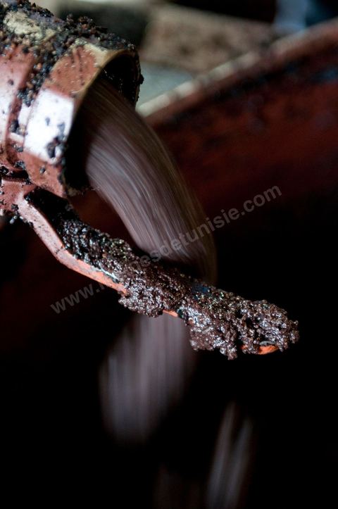 Huilerie traditionnelle - Mellita - Ile de Djerba - olives - huile d'olives - pression à froid