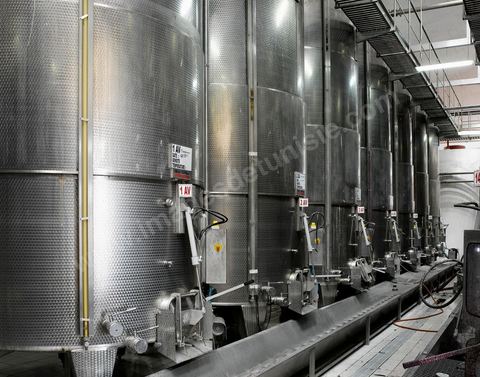 la Cave de Grombalia au Cap Bon n’a cessé d’investir pour devenir un des fleurons des Vignerons de Carthage ( UCCV ), digne des unités de vinifications les plus performantes que l’on peut voir en Europe.