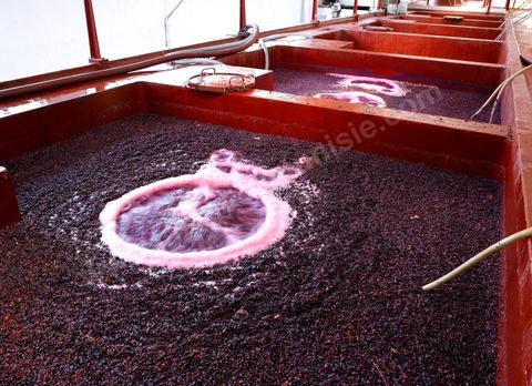 la Cave de Grombalia au Cap Bon n’a cessé d’investir pour devenir un des fleurons des Vignerons de Carthage ( UCCV ), digne des unités de vinifications les plus performantes que l’on peut voir en Europe.