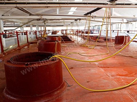 la Cave de Grombalia au Cap Bon n’a cessé d’investir pour devenir un des fleurons des Vignerons de Carthage ( UCCV ), digne des unités de vinifications les plus performantes que l’on peut voir en Europe.