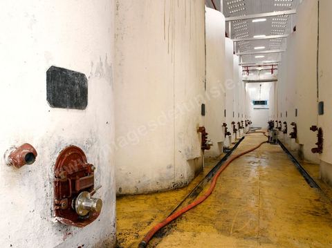 la Cave de Grombalia au Cap Bon n’a cessé d’investir pour devenir un des fleurons des Vignerons de Carthage ( UCCV ), digne des unités de vinifications les plus performantes que l’on peut voir en Europe.