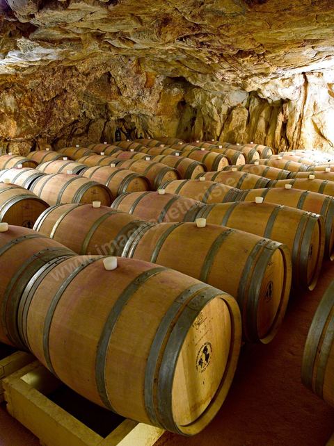 La cave de La Fontaine aux mille Amphores à Megrine, près de Tunis, est devenue un haut lieu de l’élevage et du vieillissement des vins. Il s'agit d'une cave souterraine creusée dans la roche. Les Vignerons de Carthage UCCV