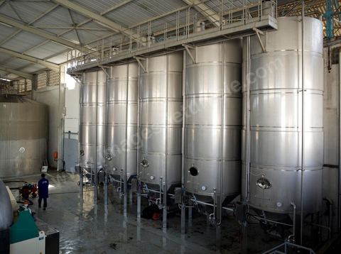 Créée en 1948, la Cave de Kélibia compte aujourd’hui 160 adhérents pour une production moyenne de 11000 hl pour 640 ha de cépage Muscat d’Alexandrie produisant la fameuse AOC Premier Cru Muscat sec de Kélibia, et environ 120 ha de Chardonnay- Grenache blanc - Ugni Blanc - Vermentino- Syrah - Grenache noir. Vignerons de Carthage UCCV