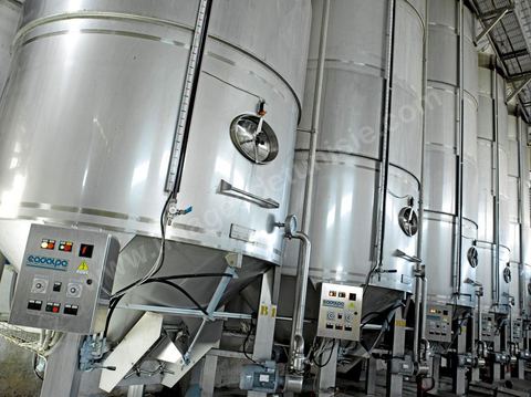 Créée en 1948, la Cave de Kélibia compte aujourd’hui 160 adhérents pour une production moyenne de 11000 hl pour 640 ha de cépage Muscat d’Alexandrie produisant la fameuse AOC Premier Cru Muscat sec de Kélibia, et environ 120 ha de Chardonnay- Grenache blanc - Ugni Blanc - Vermentino- Syrah - Grenache noir. Vignerons de Carthage UCCV