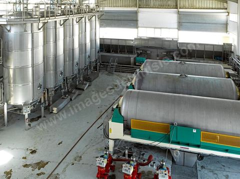 Créée en 1948, la Cave de Kélibia compte aujourd’hui 160 adhérents pour une production moyenne de 11000 hl pour 640 ha de cépage Muscat d’Alexandrie produisant la fameuse AOC Premier Cru Muscat sec de Kélibia, et environ 120 ha de Chardonnay- Grenache blanc - Ugni Blanc - Vermentino- Syrah - Grenache noir. Vignerons de Carthage UCCV