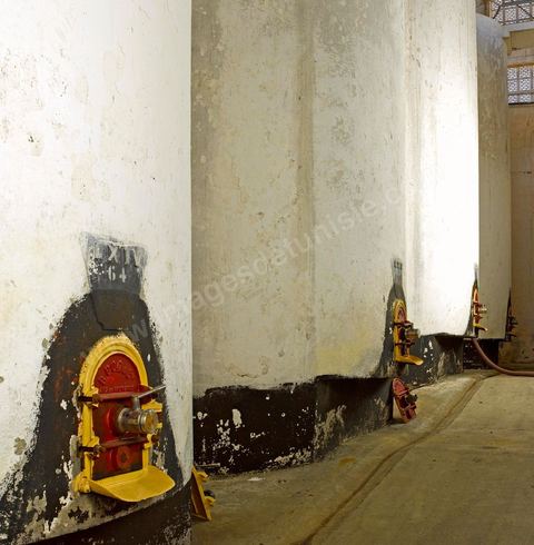 Créée en 1948, la Cave de Kélibia compte aujourd’hui 160 adhérents pour une production moyenne de 11000 hl pour 640 ha de cépage Muscat d’Alexandrie produisant la fameuse AOC Premier Cru Muscat sec de Kélibia, et environ 120 ha de Chardonnay- Grenache blanc - Ugni Blanc - Vermentino- Syrah - Grenache noir. Vignerons de Carthage UCCV