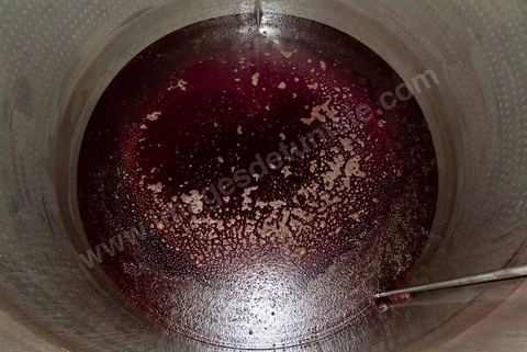 Créée en 1948, la Cave de Kélibia compte aujourd’hui 160 adhérents pour une production moyenne de 11000 hl pour 640 ha de cépage Muscat d’Alexandrie produisant la fameuse AOC Premier Cru Muscat sec de Kélibia, et environ 120 ha de Chardonnay- Grenache blanc - Ugni Blanc - Vermentino- Syrah - Grenache noir. Vignerons de Carthage UCCV