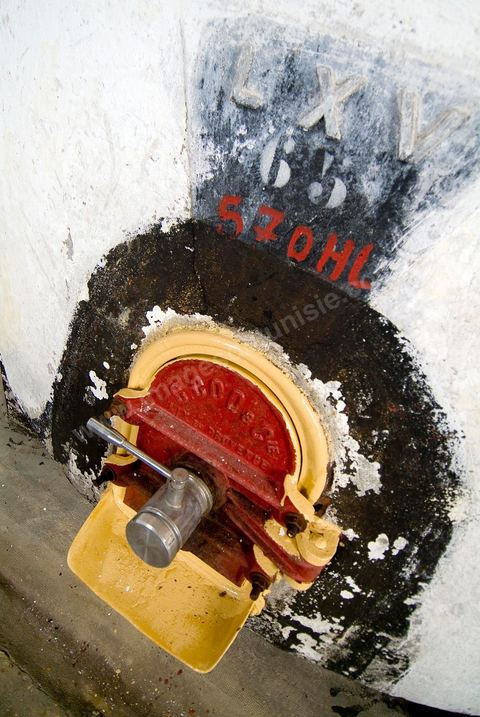 Créée en 1948, la Cave de Kélibia compte aujourd’hui 160 adhérents pour une production moyenne de 11000 hl pour 640 ha de cépage Muscat d’Alexandrie produisant la fameuse AOC Premier Cru Muscat sec de Kélibia, et environ 120 ha de Chardonnay- Grenache blanc - Ugni Blanc - Vermentino- Syrah - Grenache noir. Vignerons de Carthage UCCV