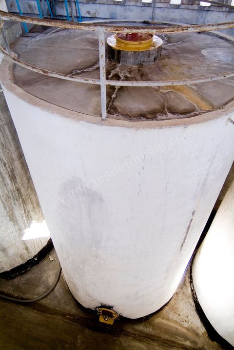 Créée en 1948, la Cave de Kélibia compte aujourd’hui 160 adhérents pour une production moyenne de 11000 hl pour 640 ha de cépage Muscat d’Alexandrie produisant la fameuse AOC Premier Cru Muscat sec de Kélibia, et environ 120 ha de Chardonnay- Grenache blanc - Ugni Blanc - Vermentino- Syrah - Grenache noir. Vignerons de Carthage UCCV