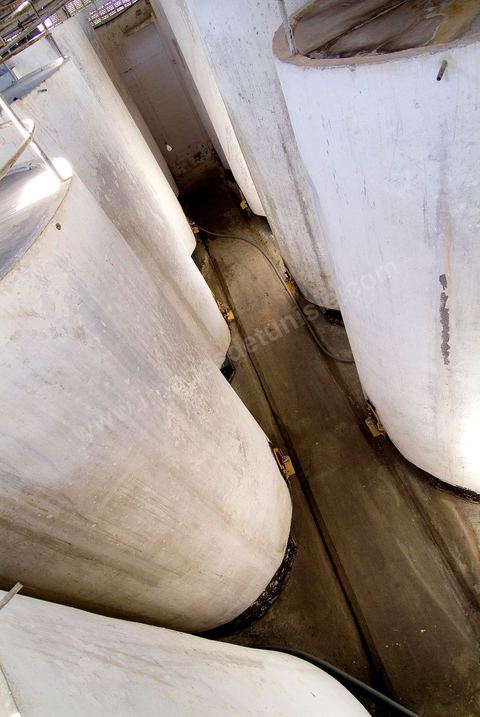 Créée en 1948, la Cave de Kélibia compte aujourd’hui 160 adhérents pour une production moyenne de 11000 hl pour 640 ha de cépage Muscat d’Alexandrie produisant la fameuse AOC Premier Cru Muscat sec de Kélibia, et environ 120 ha de Chardonnay- Grenache blanc - Ugni Blanc - Vermentino- Syrah - Grenache noir. Vignerons de Carthage UCCV