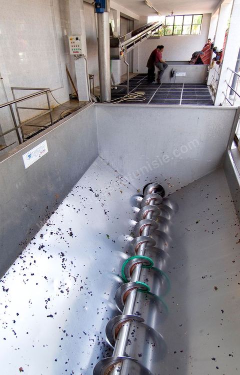 la Cave de Grombalia au Cap Bon n’a cessé d’investir pour devenir un des fleurons des Vignerons de Carthage ( UCCV ), digne des unités de vinifications les plus performantes que l’on peut voir en Europe.