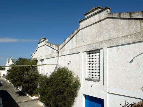 Depuis sa création en 1932, la Cave de Bir Drassen est un haut lieu du vin tunisien. Les Vignerons de Carthage UCCV