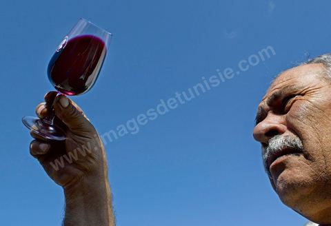 Depuis sa création en 1932, la Cave de Bir Drassen est un haut lieu du vin tunisien. Les Vignerons de Carthage UCCV
