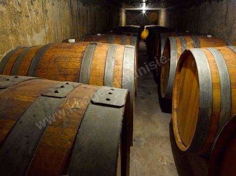 Depuis sa création en 1932, la Cave de Bir Drassen est un haut lieu du vin tunisien. Les Vignerons de Carthage UCCV