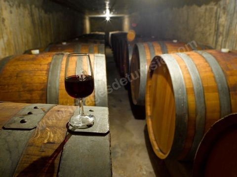 Depuis sa création en 1932, la Cave de Bir Drassen est un haut lieu du vin tunisien. Les Vignerons de Carthage UCCV