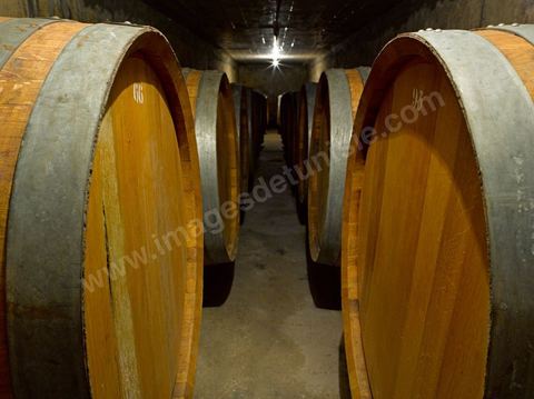 Depuis sa création en 1932, la Cave de Bir Drassen est un haut lieu du vin tunisien. Les Vignerons de Carthage UCCV
