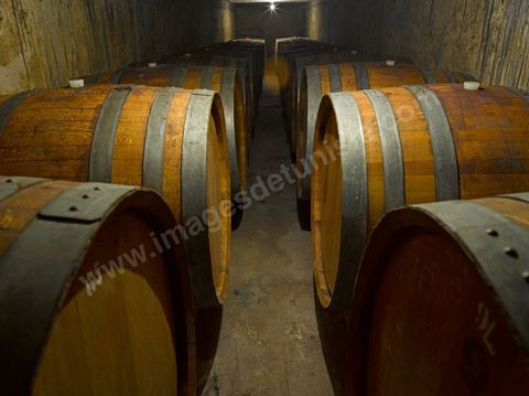 Depuis sa création en 1932, la Cave de Bir Drassen est un haut lieu du vin tunisien. Les Vignerons de Carthage UCCV