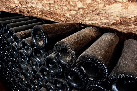 Bouteilles de vin à la cave de Megrine dans la banlieue sud de Tunis
