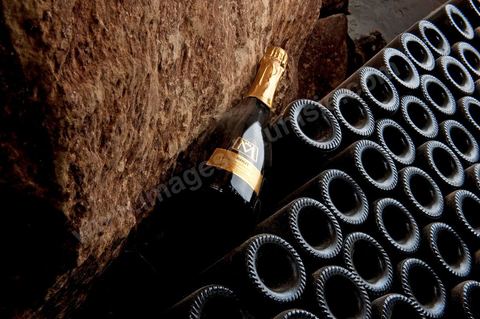 Production du "champagne" Tunisien le Mum à la cave de Megrine dans la banlieue sud de Tunis