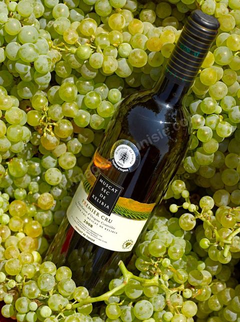 A bottle of dry Muscat white wine from Kelibia sat among clusters of white grapes in the heart of the Kelibia vineyard