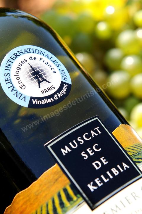 A bottle of dry Muscat white wine from Kelibia sat among clusters of white grapes in the heart of the Kelibia vineyard