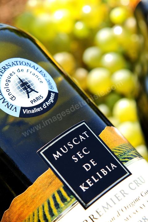 A bottle of dry Muscat white wine from Kelibia sat among clusters of white grapes in the heart of the Kelibia vineyard
