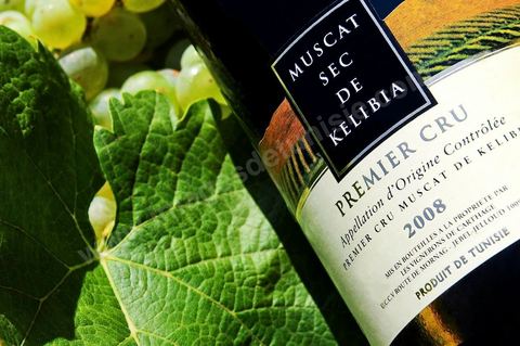 A bottle of dry Muscat white wine from Kelibia sat among clusters of white grapes in the heart of the Kelibia vineyard