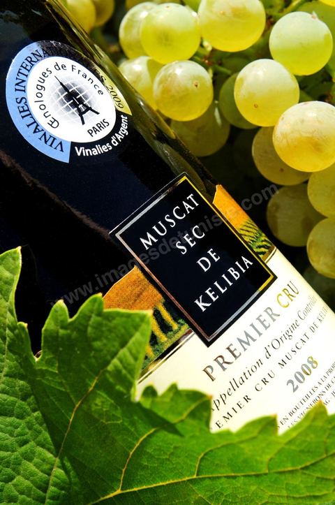 A bottle of dry Muscat white wine from Kelibia sat among clusters of white grapes in the heart of the Kelibia vineyard
