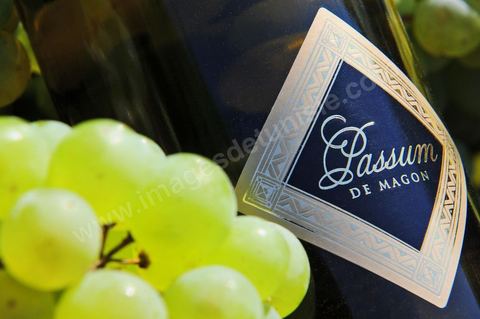 A bottle of Passum sweet Muscat sat among clusters of white grapes in the heart of the Kelibia vineyard