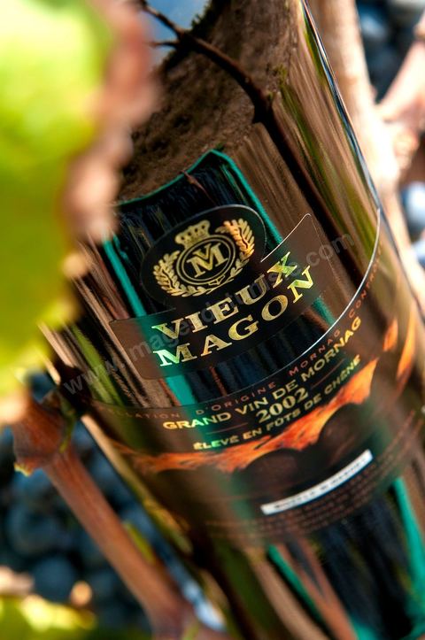 Bouteille de Vieux Magon posait sur des pieds de vignes au coeur du domaine viticole de Magon