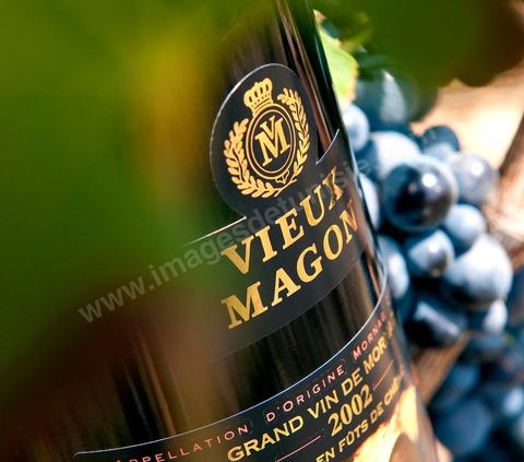 Bouteille de Vieux Magon posait sur des pieds de vignes au coeur du domaine viticole de Magon