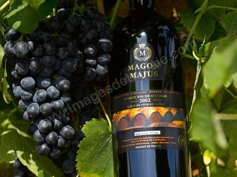 Bouteille de Magon Majus posait sur des pieds de vignes au coeur du domaine viticole de Magon