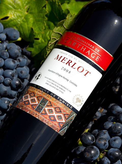Bouteille de vin rouge Merlot posait sur des pieds de vignes au coeur du domaine viticole de Magon