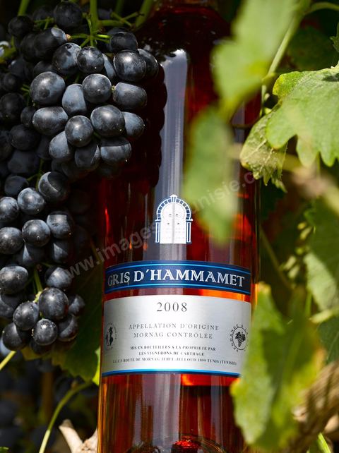Bouteille de vin rosé Gris d'Hammamet posait sur des pieds de vignes au coeur du domaine viticole de Magon