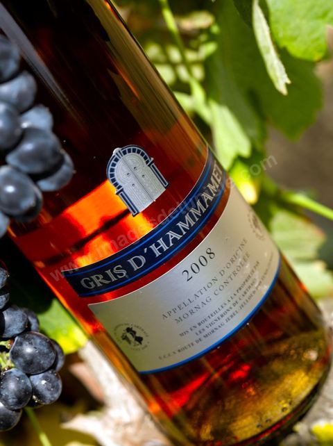Bouteille de vin rosé Gris d'Hammamet posait sur des pieds de vignes au coeur du domaine viticole de Magon