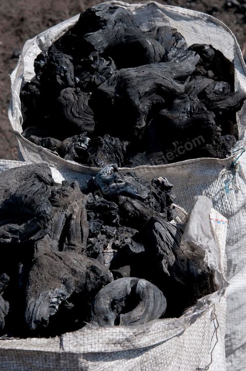 Production de charbon de bois à base de pieds de vignes dans une ferme au coeur du domaine Viticole Elissa - Tekelsa