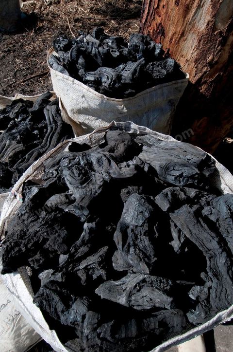 Production de charbon de bois à base de pieds de vignes dans une ferme au coeur du domaine Viticole Elissa - Tekelsa