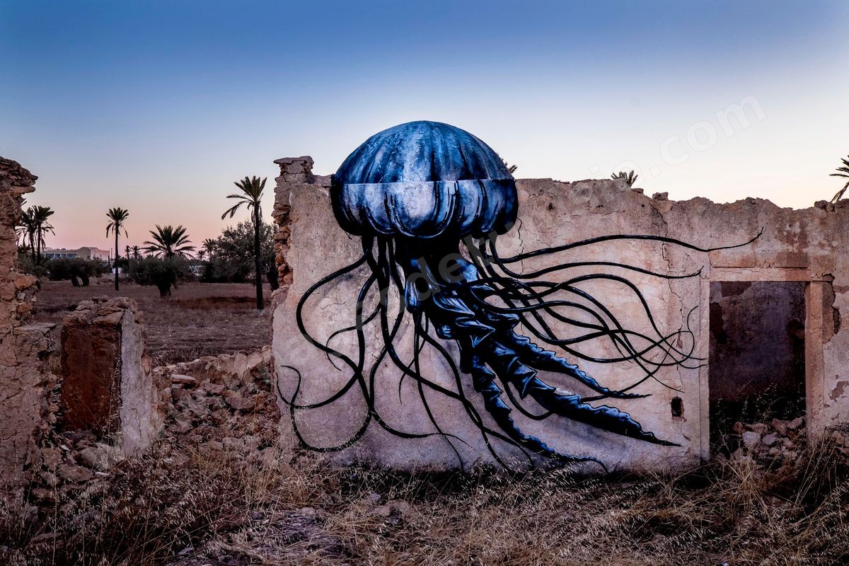 L'île de Djerba