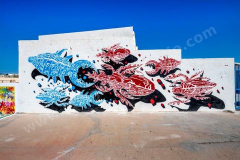Oeuvres de l'artiste polonais M-CITY pour le Projet DjerbaHood : après la Tour Paris 13, la team Itinerrance dépose ses valises dans un village traditionnel de l’île de Djerba, Erriadh. Depuis le début du mois de juillet, le village d’Erriadh se métamorphose petit à petit pour devenir un véritable musée à ciel ouvert. Une sélection d’artistes des quatre coins du monde ont été invités à s’exprimer dans ce décor unique à l’architecture authentique : murs blancs, portes bleues turquoises, dômes, veilles constructions et divers lieux abandonnés, autant de possibilités qui donneront naissance à des créations uniques aux couleurs locales.