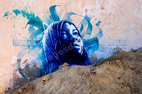 Oeuvres de l'artiste français DAN23 pour le Projet DjerbaHood : après la Tour Paris 13, la team Itinerrance dépose ses valises dans un village traditionnel de l’île de Djerba, Erriadh. Depuis le début du mois de juillet, le village d’Erriadh se métamorphose petit à petit pour devenir un véritable musée à ciel ouvert. Une sélection d’artistes des quatre coins du monde ont été invités à s’exprimer dans ce décor unique à l’architecture authentique : murs blancs, portes bleues turquoises, dômes, veilles constructions et divers lieux abandonnés, autant de possibilités qui donneront naissance à des créations uniques aux couleurs locales.