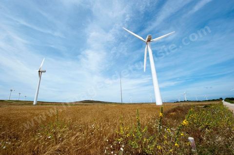 Champ d'éoliennes de la STEG à Sidi Daoud au nord du Cap Bon