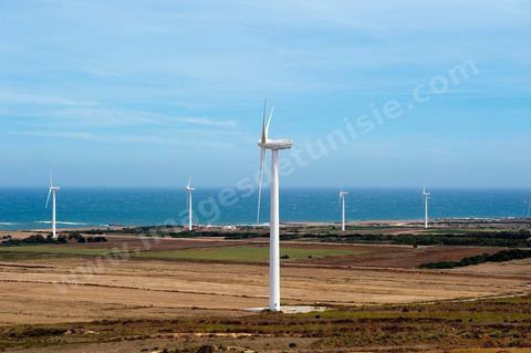 Champ d'éoliennes de la STEG à Sidi Daoud au nord du Cap Bon