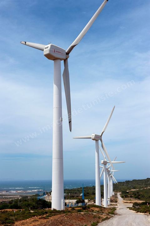Champ d'éoliennes de la STEG à Sidi Daoud au nord du Cap Bon