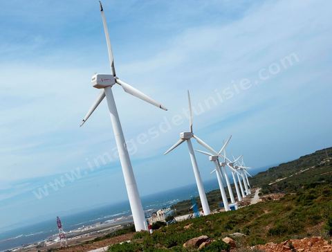 Champ d'éoliennes de la STEG à Sidi Daoud au nord du Cap Bon