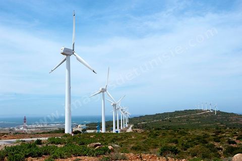 Champ d'éoliennes de la STEG à Sidi Daoud au nord du Cap Bon